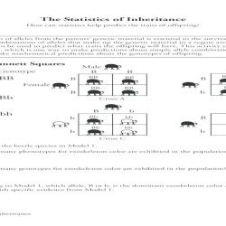 Statistics of inheritance pogil key