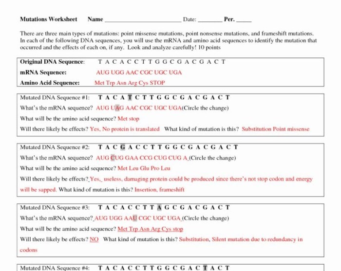 Bio dna unit review worksheet