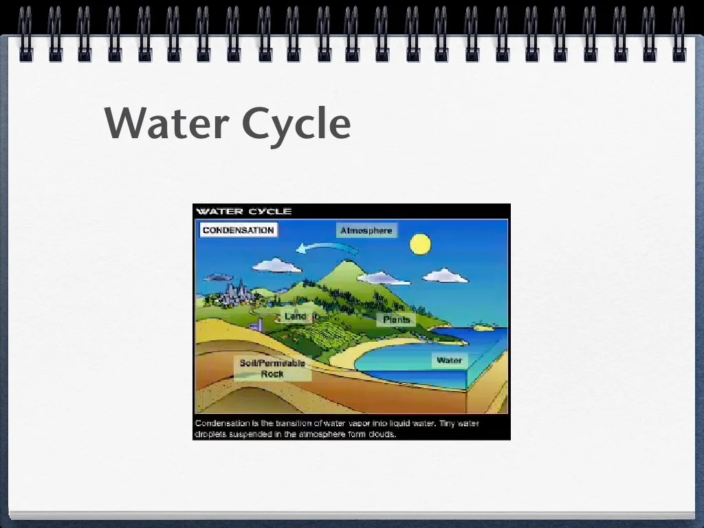 Environmental science unit 1 test answers