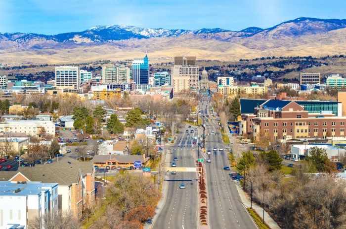 State board of cosmetology idaho