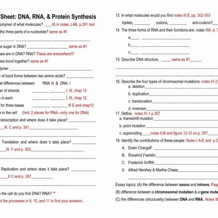 Bio dna unit review worksheet