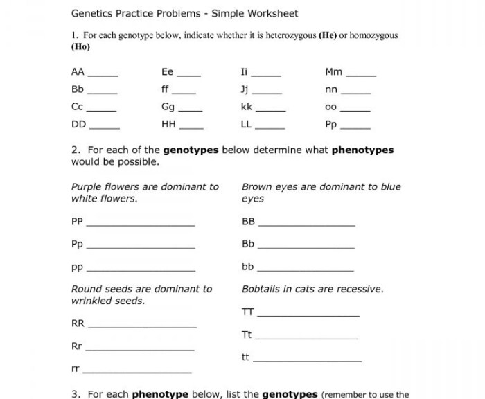 Bio dna unit review worksheet