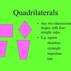 Bart found 20 quadrilaterals in his classroom