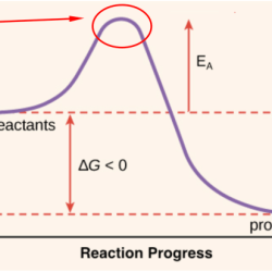 Energy activation reaction curve chemical chemistry catalyst diagram enthalpy change level equilibrium changes reactions kinetics between rates shows rate chem