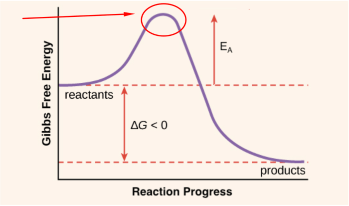 Energy activation reaction curve chemical chemistry catalyst diagram enthalpy change level equilibrium changes reactions kinetics between rates shows rate chem