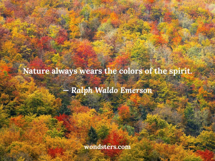 Nature always wears the colors of the spirit meaning